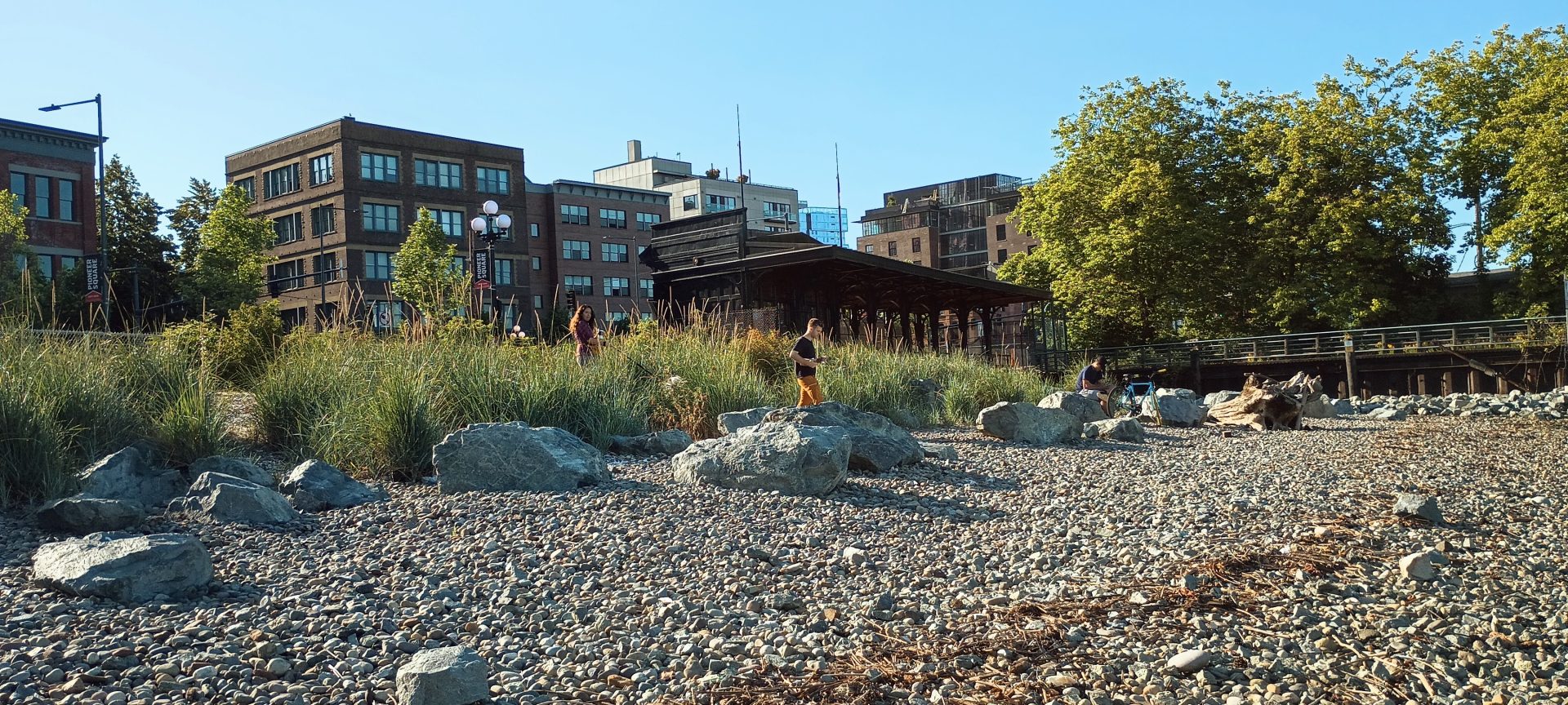 Pioneer Square Habitat Beach Opens Hope Alive For More Public Space