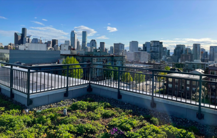 Green Roofs Provide Many Benefits as Cities Densify - The Urbanist