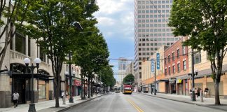 Tree-lined street view of 3rd Ave downtown Seattle.