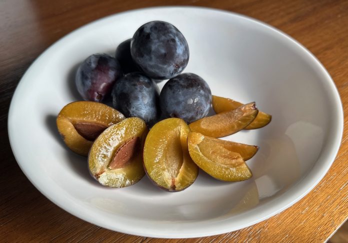 Purple skin, yellow fruit plums in a white bowl.