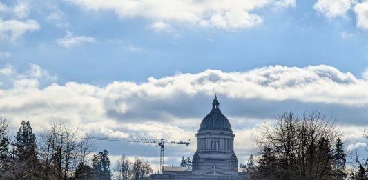 The domed Olympia Capitol Building stands in the distance with a bus stop with a passenger waiting in the foreground. A dogwalker also mosey on the lawn.