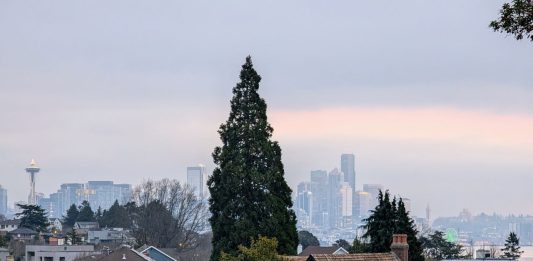 A woman jogs down Wallingford Avenue on a block of single family homes with Lake Union and the Seattle skyline in the background.