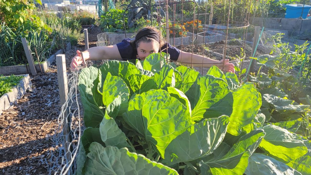 A femme person with dark hair leans over to give a pretend embrace to giant bright green Brussels sprouts.