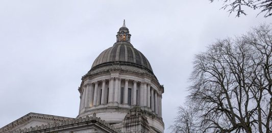 The Olympia capital building with some trees in the foreground.