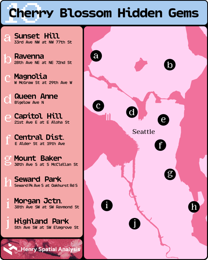 A pink map lists blossom hotspots in Sunset Hill (33rd Ave NE at NW 77th St), Ravenna (28th Ave NE at NE 72nd St), Magnolia (W McGraw St at 29th Ave W), Queen Anne (Bigelow Ave N), Capitol Hill (21st Ave E at E Aloha St), Central District (E Alder St at 19th Ave), Mount Baker (30th Ave S at S McClellan St), Seward Park (Seward Park Ave S at Oakhurst Rs S), Morgan Junction (38th Ave SW at SW Raymond St), and Highland Park (5th Ave SW at SW Elmgrove St)